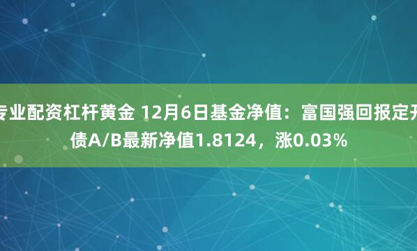 专业配资杠杆黄金 12月6日基金净值：富国强回报定开债A/B最新净值1.8124，涨0.03%
