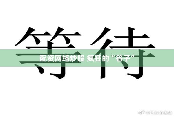 配资网络炒股 疯狂的“谷子”