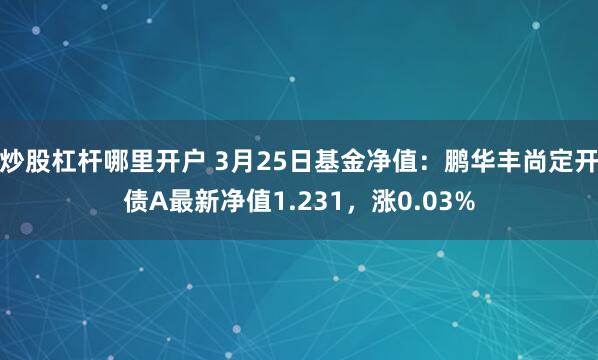 炒股杠杆哪里开户 3月25日基金净值：鹏华丰尚定开债A最新净值1.231，涨0.03%