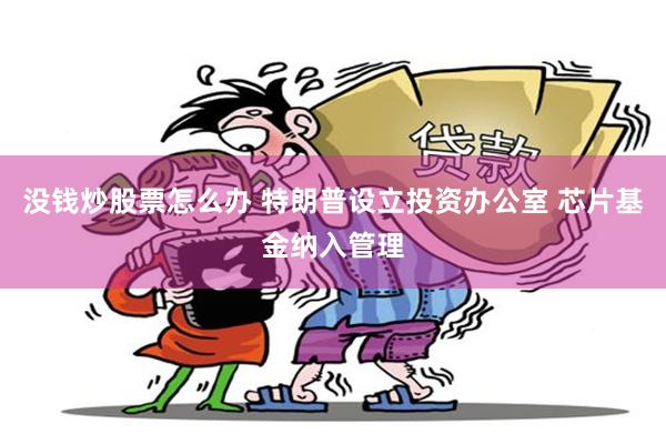 没钱炒股票怎么办 特朗普设立投资办公室 芯片基金纳入管理
