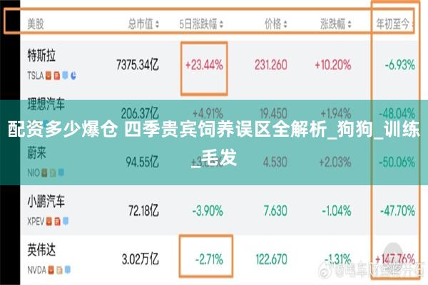 配资多少爆仓 四季贵宾饲养误区全解析_狗狗_训练_毛发