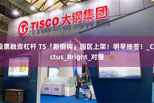 股票融资杠杆 TS「新倒钩」国区上架！明早抽签！_Cactus_Bright_对撞
