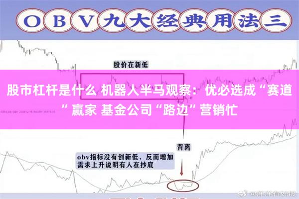 股市杠杆是什么 机器人半马观察：优必选成“赛道”赢家 基金公司“路边”营销忙