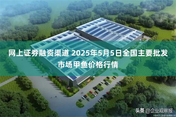 网上证劵融资渠道 2025年5月5日全国主要批发市场甲鱼价格行情
