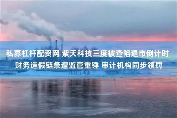 私募杠杆配资网 紫天科技三度被查陷退市倒计时 财务造假链条遭监管重锤 审计机构同步领罚