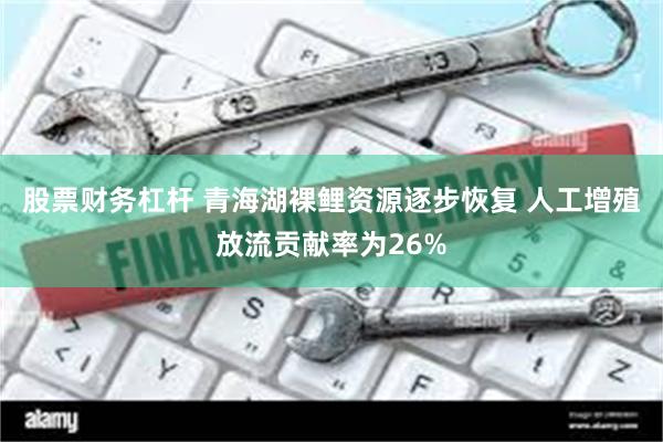 股票财务杠杆 青海湖裸鲤资源逐步恢复 人工增殖放流贡献率为26%