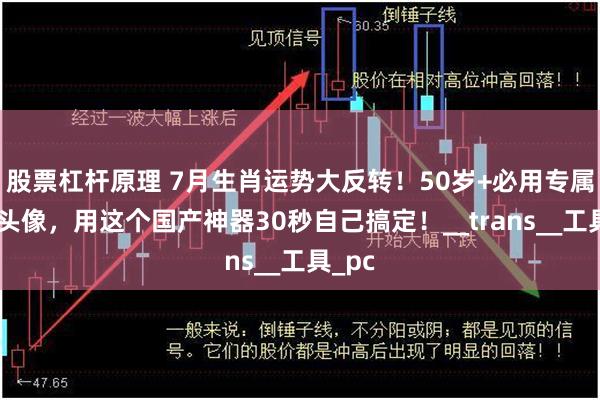 股票杠杆原理 7月生肖运势大反转！50岁+必用专属开运头像，用这个国产神器30秒自己搞定！__trans__工具_pc