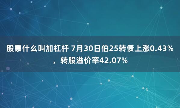 股票什么叫加杠杆 7月30日伯25转债上涨0.43%，转股溢价率42.07%