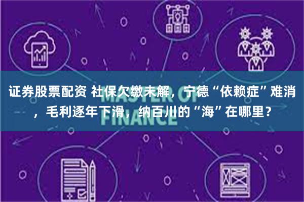 证券股票配资 社保欠缴未解，宁德“依赖症”难消，毛利逐年下滑，纳百川的“海”在哪里？