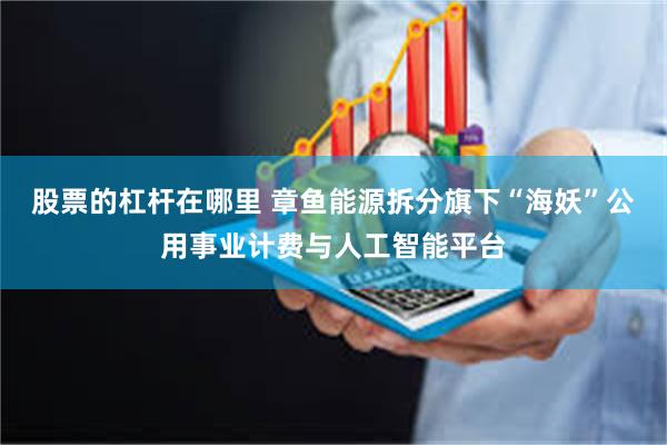 股票的杠杆在哪里 章鱼能源拆分旗下“海妖”公用事业计费与人工智能平台